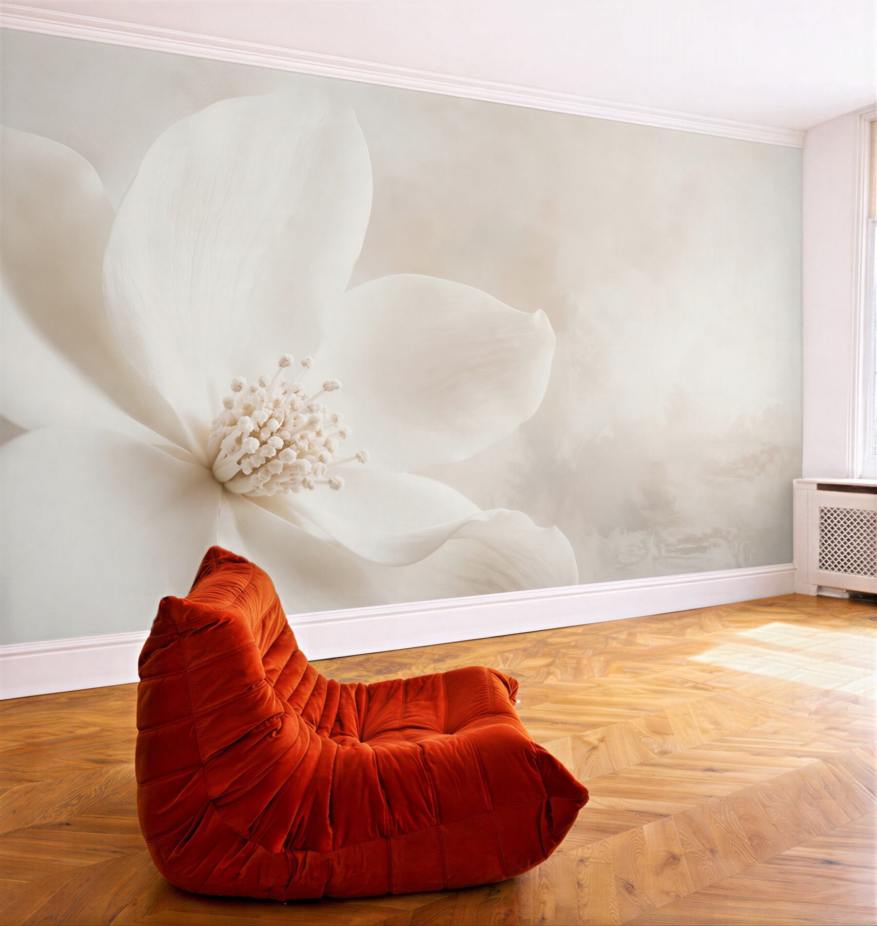 Fototapeta Duże delikatne pąki orchidei?v23