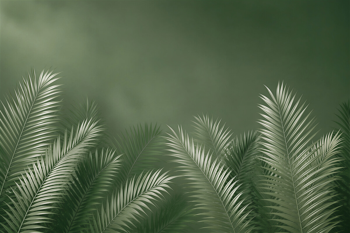Fototapeta liście palmowe zielone tropikalne na ciemnym tle