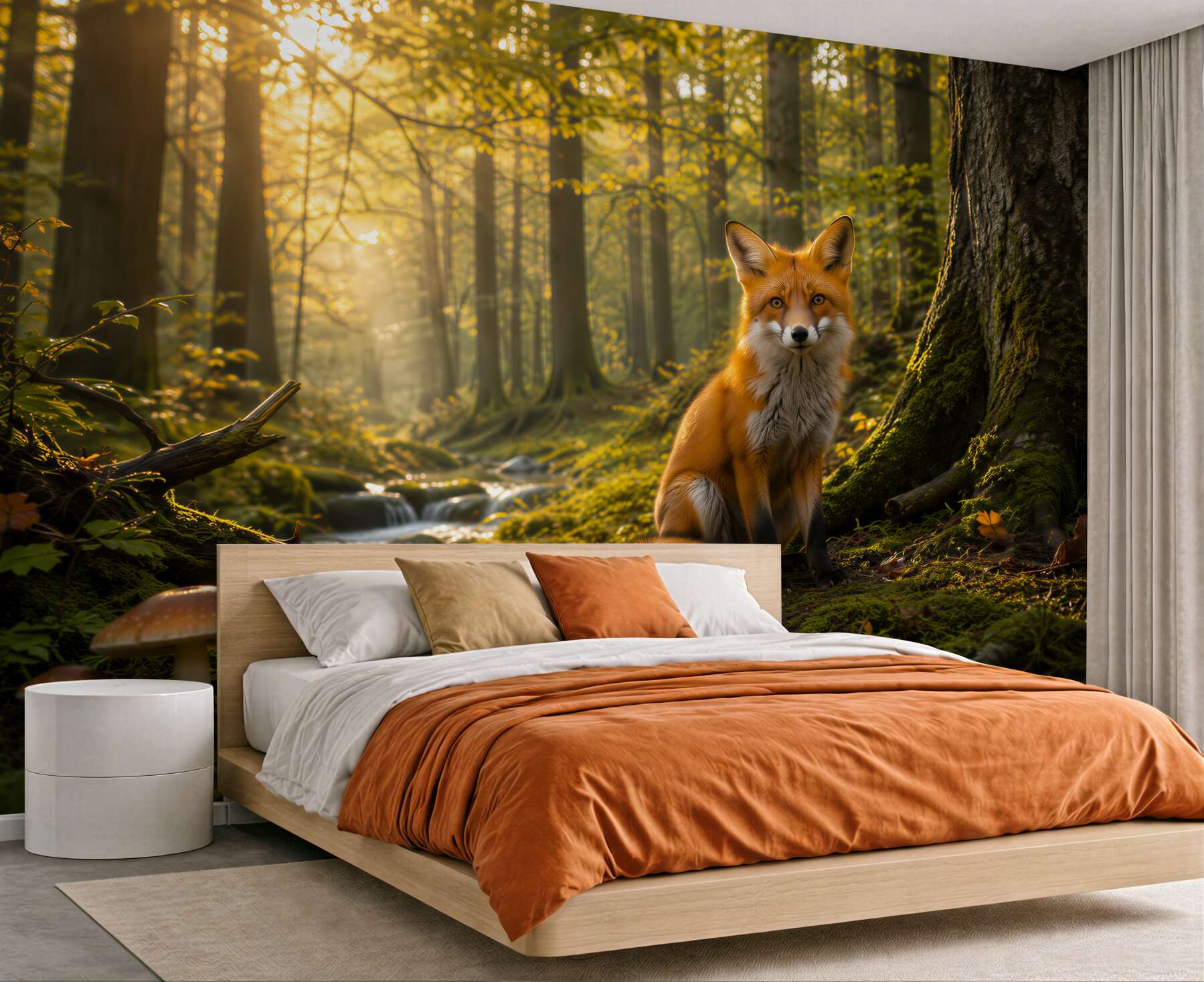 Fototapeta lis w lesie o poranku naturalna leśna sceneria?v23