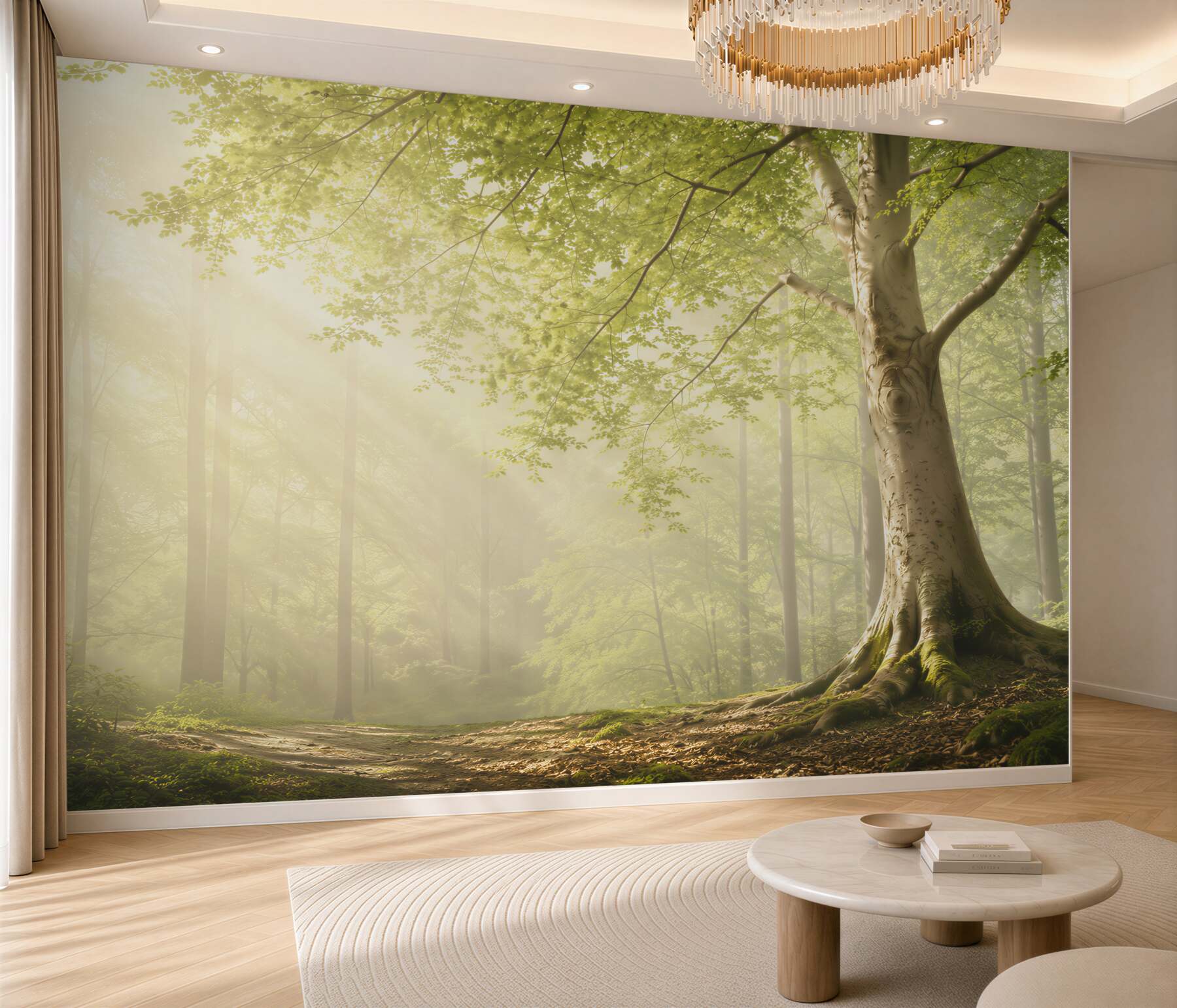 Fototapeta słoneczny las z dużym drzewem i promieniami światła?v23