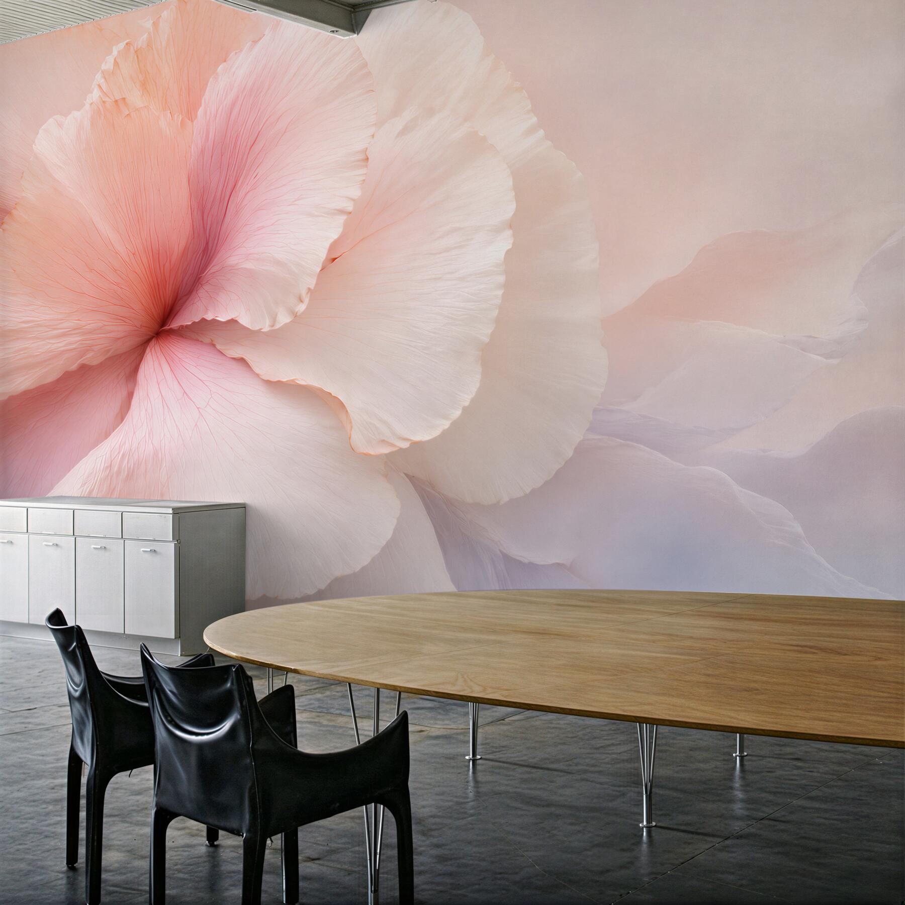 Fototapeta pastelowy kwiat makro w odcieniach różu i bieli?v23