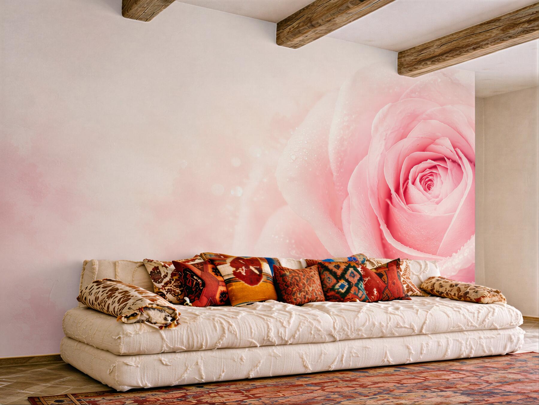 Fototapeta różowa róża z kroplami rosy na delikatnym tle?v23