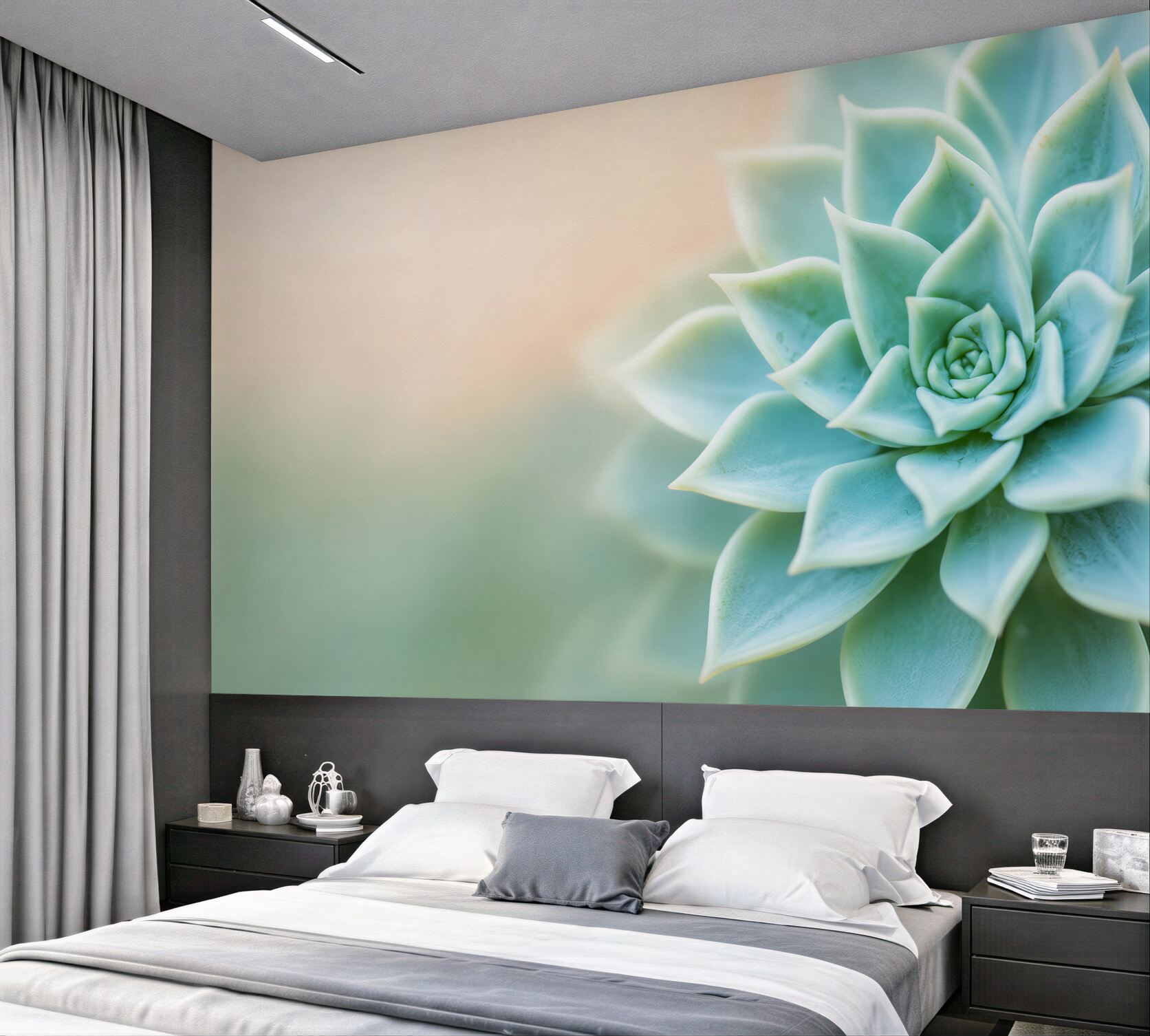Fototapeta sukulent echeveria miętowy makro relaksująca?v23