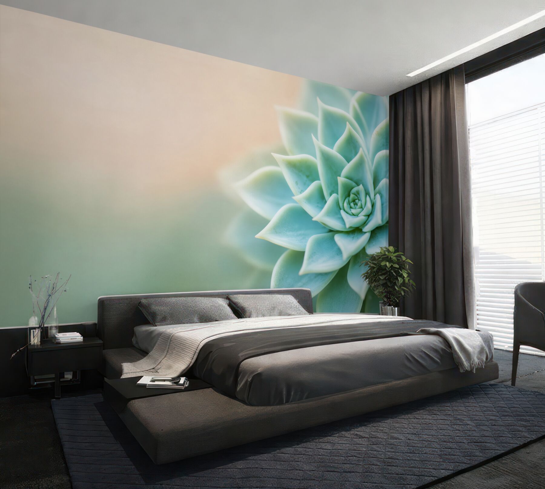 Fototapeta sukulent echeveria miętowy makro relaksująca?v23