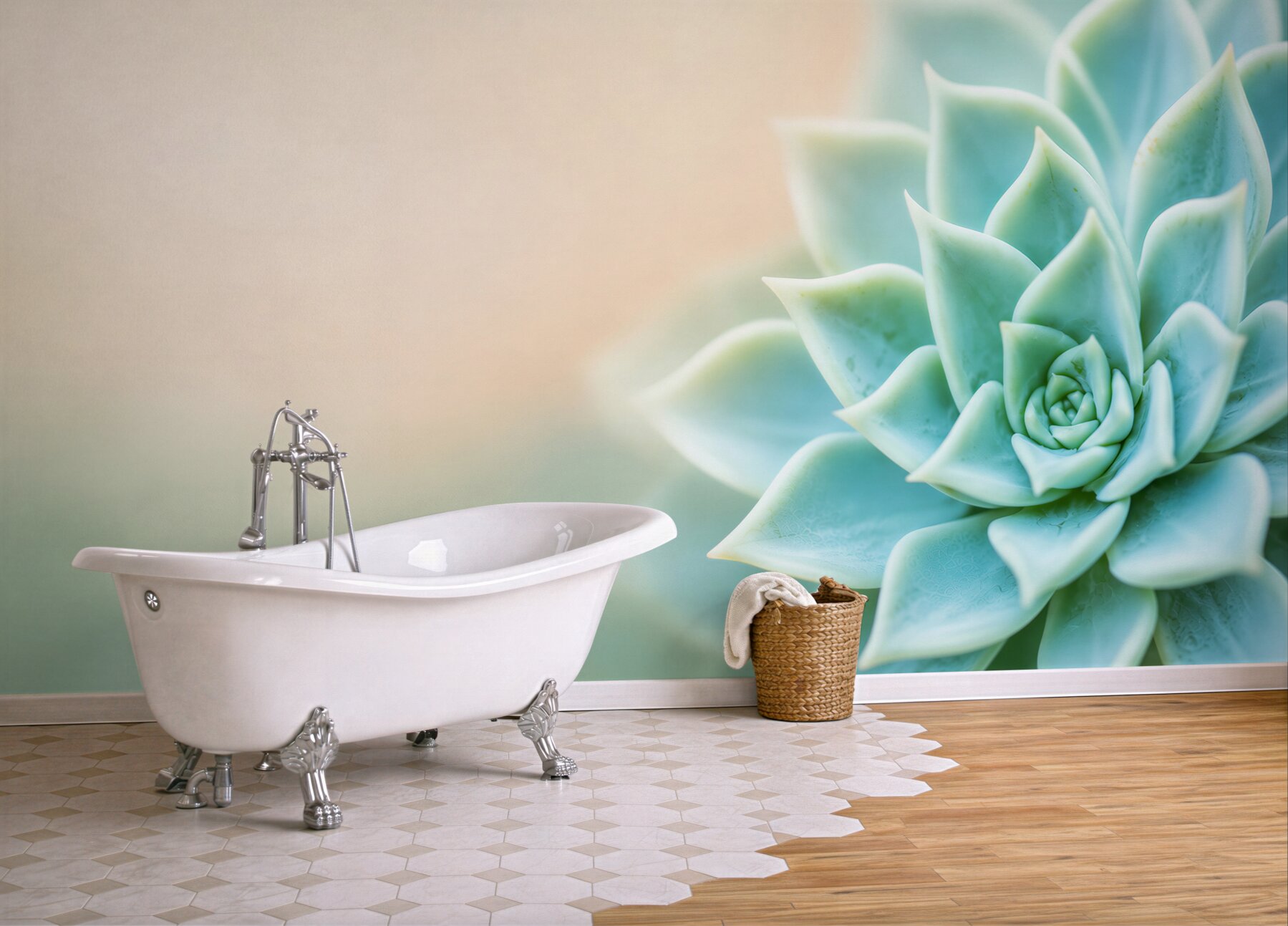 Fototapeta sukulent echeveria miętowy makro relaksująca?v23