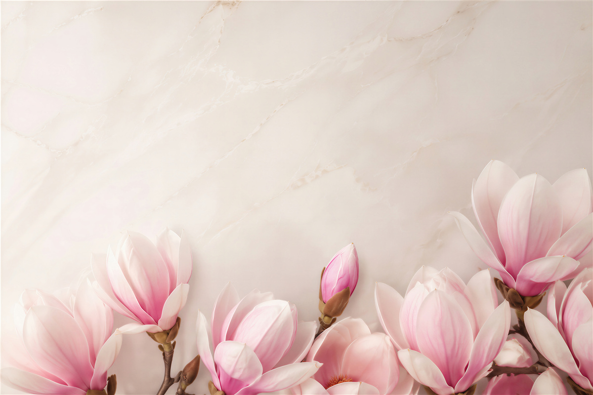 Fototapeta kwiaty magnolii pastelowy róż na eleganckim jasnym tle