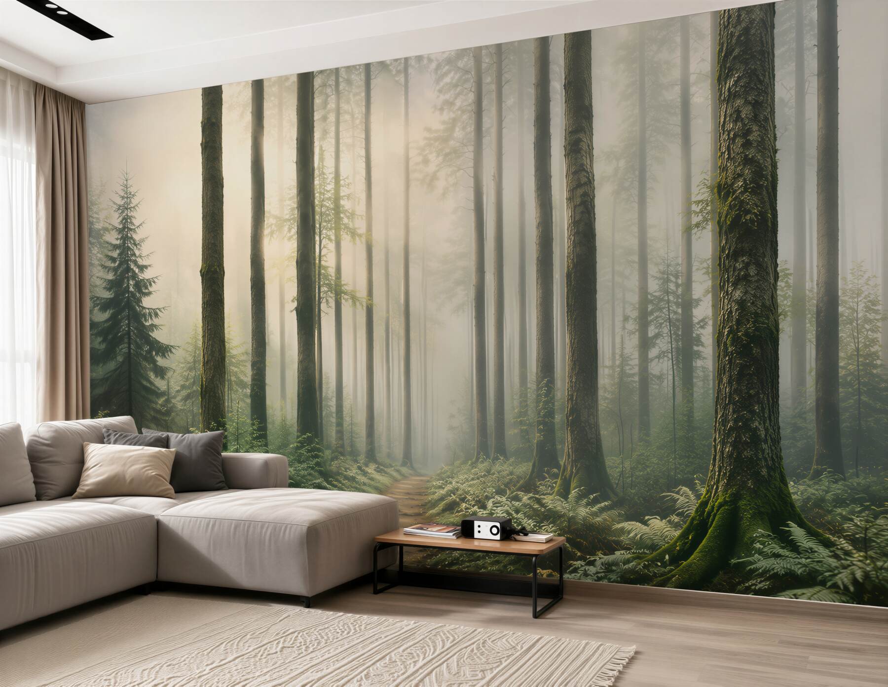 Fototapeta leśna ścieżka wśród wysokich drzew z poranną mgłą?v23