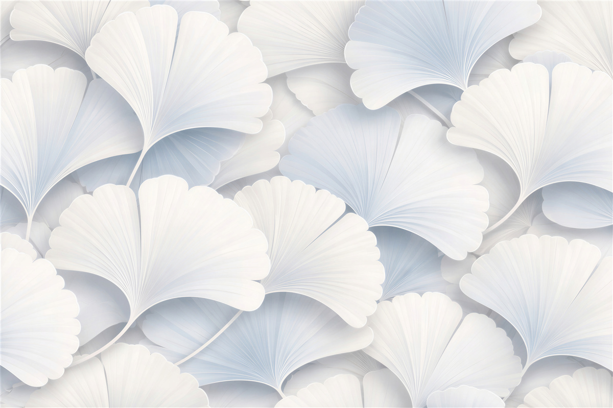 Fototapeta białe liście ginkgo 3d