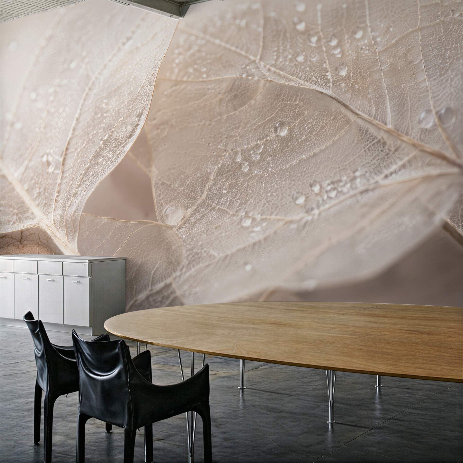 Fototapeta delikatne liście w kroplach rosy?v23